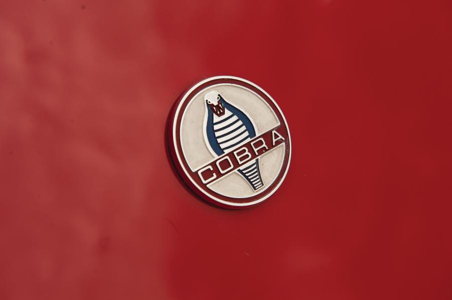 Логотип ERA 427 SC Cobra Roadster 1990 года  (фото 3 из 19)
